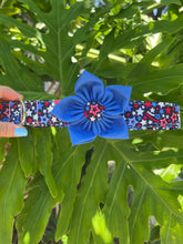 Star Spangled Dog Collars