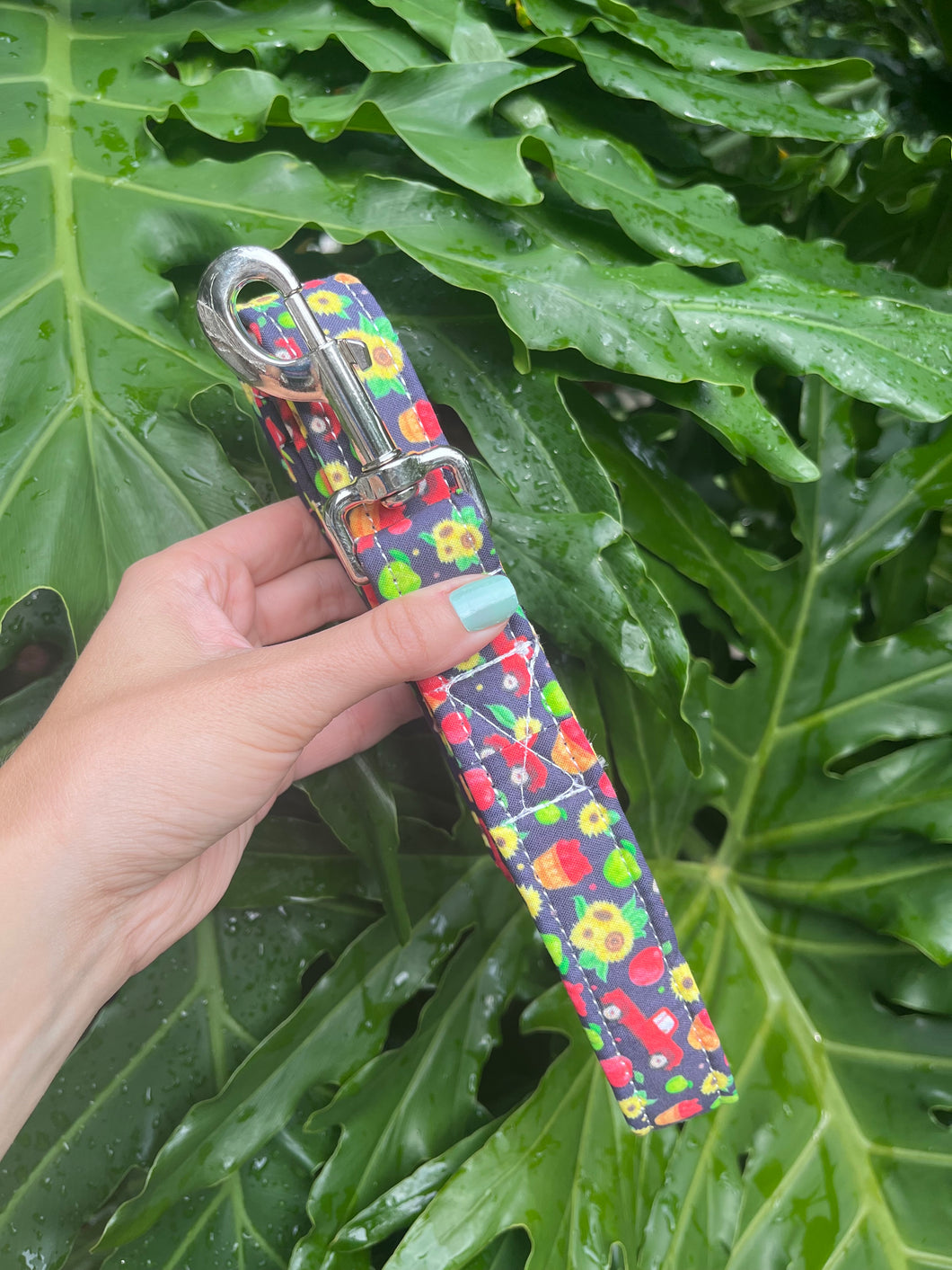 Apple Orchard Dog Leash