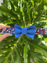 Star Spangled Dog Collars