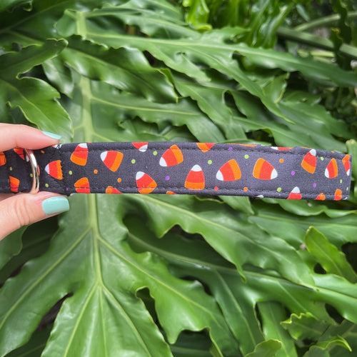 Candy Corn Dog Collar