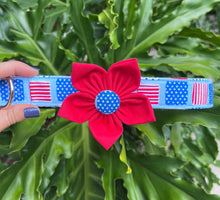 All American Dog Collar