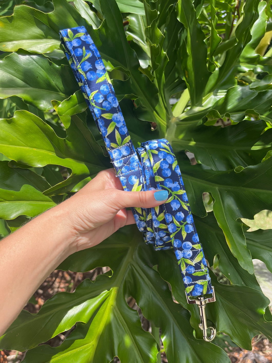 Blueberry Dog Leash