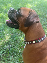 Horror Movie Dog Collar