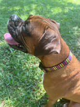 Halloween Chevron Dog Collar