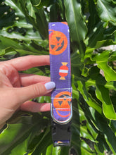 Trick or Treat Dog Collar