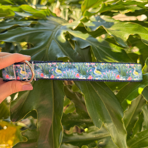Silly Goose Spring Dog Collar