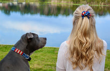 Rugged Flag Dog Collar