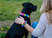 Tie Dye Dog Collar