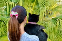 Hot Pink Floral Cat Collars