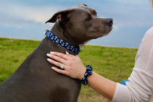 Silver Anchor Dog Collar