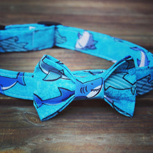 Teal Shark Dog Collar
