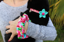 Hot Pink Floral Cat Collars