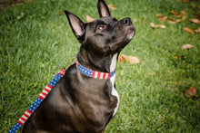 Rugged Flag Dog Collar