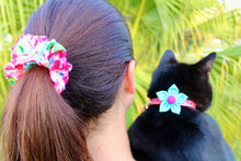 Hot Pink Floral Cat Collars