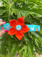 Carrots & Cottontails Dog Collar