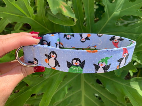 Winter Penguins