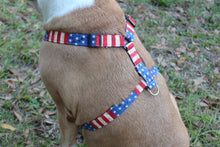 Rugged Flag Dog Collar