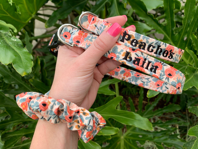 Coral RP Co. Dog Collar