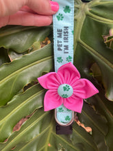 Pet Me I'm Irish Dog Collar