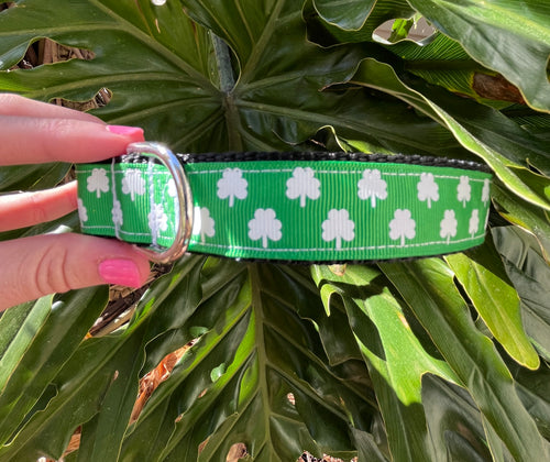Shamrocks Nylon Dog Collar