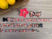 Coral RP Co. Dog Collar