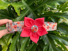 Coral RP Co. Dog Collar