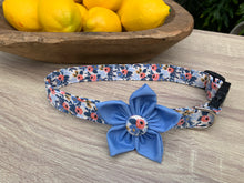 Cream RP Co. Dog Collar