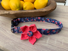 Navy RP Co. Dog Collar