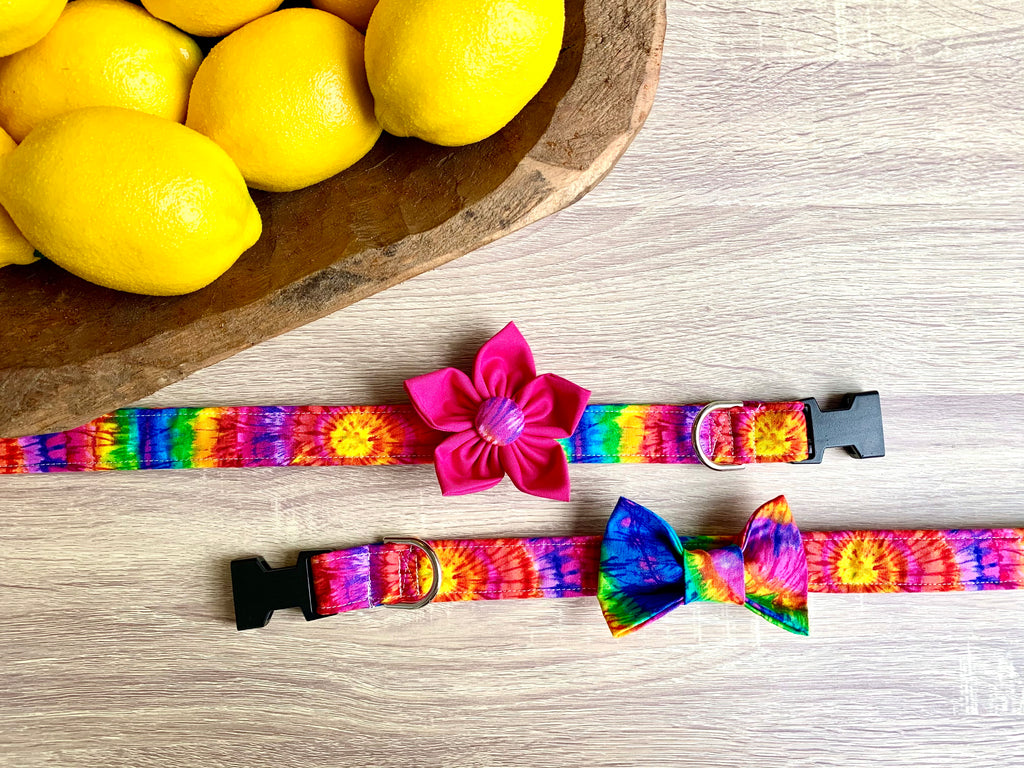 Tie Dye Dog Collar – Lucy Lou's Designs