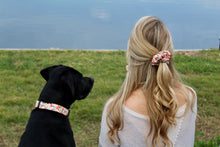 Coral RP Co. Dog Collar