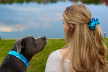 Teal Shark Dog Collar