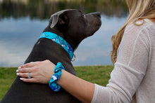 Teal Shark Dog Collar