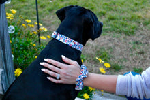 Cream RP Co. Dog Collar