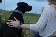 Navy RP Co. Dog Collar
