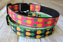 Pineapple Dog Collar