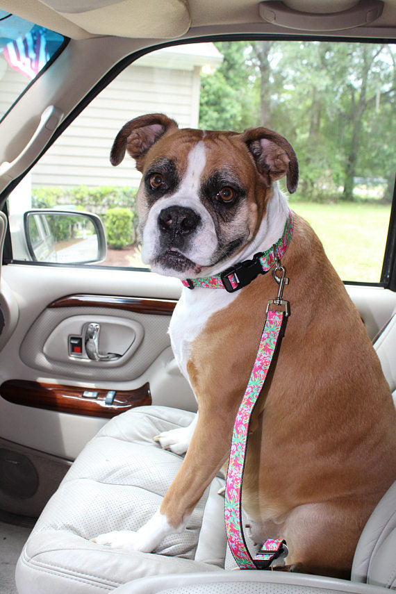 Dog Seat Belts – Lucy Lou's Designs