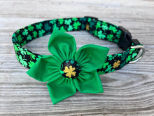Lucky Shamrocks Dog Collar