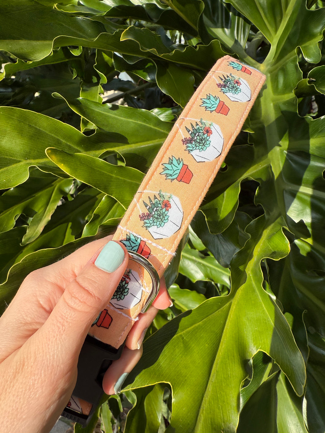 succulent dog collar Succulent Dog Collar – Lucy Lou's Designs