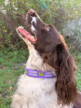 Lizard Chaser (Purple) Dog Collar