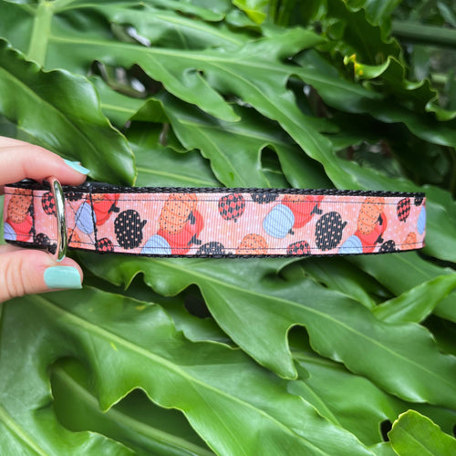 Pumpkin Spice Dog Collar