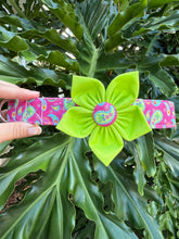 Paisley Dog Collar