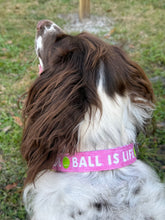 Ball is Life (Pink) Dog Collar