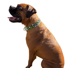 Quilted Clovers Dog Collar