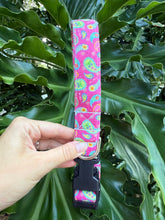 Paisley Dog Collar