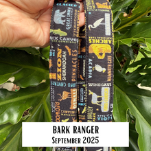 Collar of the Month Subscription (Without Personalization)