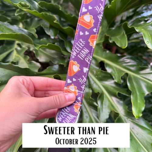 Collar of the Month Subscription (Without Personalization)