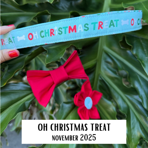 Collar of the Month Subscription (With Personalization)