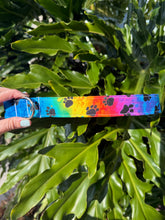 Tie Dye Paws Dog Collar