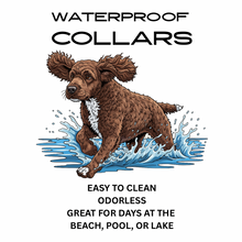 Waterproof Dog Collars