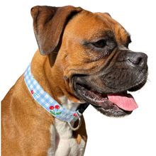 Cherries on Plaid Dog Collar